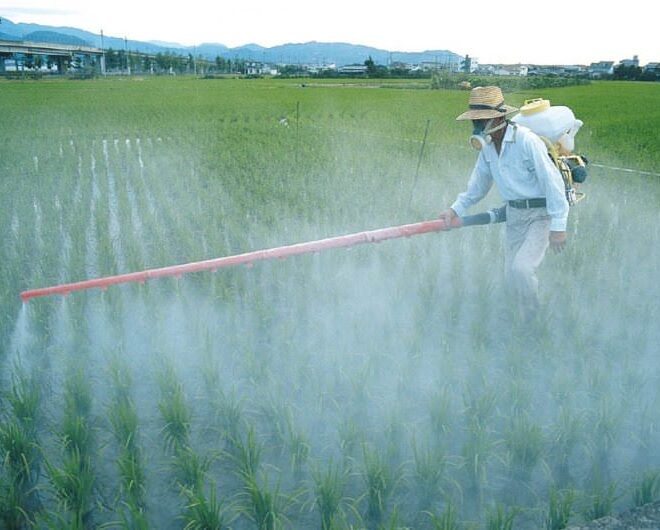 Brasil: Justiça suspende produtos com glifosato e outros agroquímicos