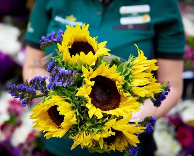 Supermercado vende flores imperfeitas a preços reduzidos para cortar no desperdício