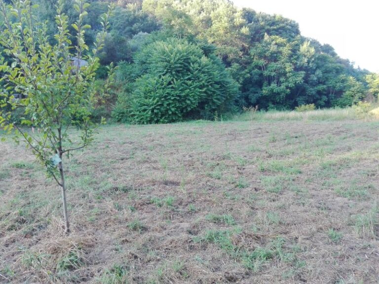 O UniPlanet vai criar uma horta coletiva na zona de Coimbra