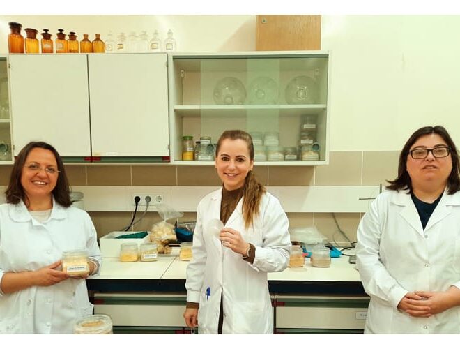 Investigadoras de Coimbra criam embalagens comestíveis