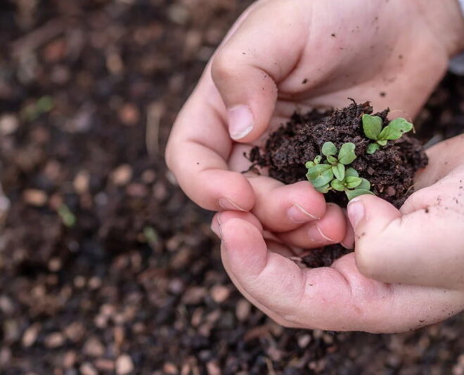 Webinar: “A sustentabilidade: usar o presente sem comprometer o futuro”, 28 de maio