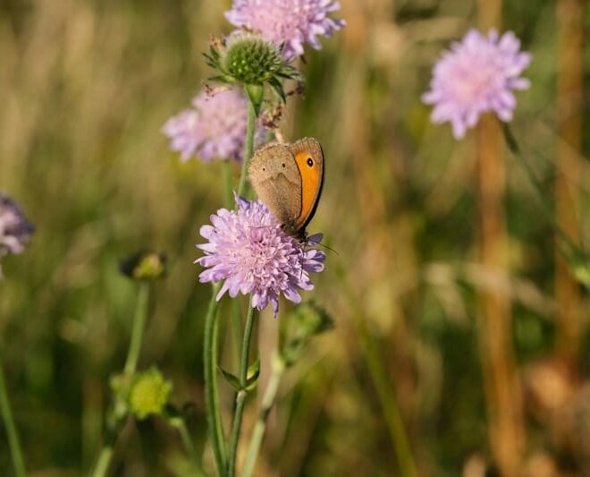 Governo aprova alterações à Lei dos Solos que permitem construção em áreas protegidas