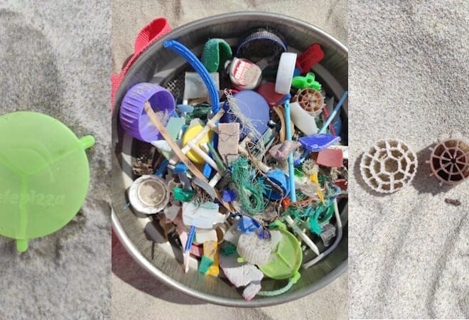 O UniPlanet fez uma nova limpeza de praia e encontrou resíduos inesperados