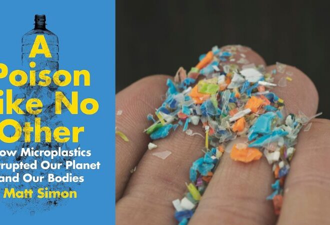 “O plástico está nos nossos pulmões e no nosso sangue”: uma conversa com Matt Simon, autor de In A Poison Like No Other
