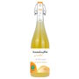 KOMBUCHA CIRCULAR CASCAS DE LARANJA 750 ML