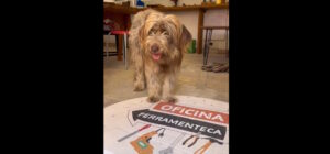 Ferramenteca de Almada: um espaço para reparar, criar e partilhar